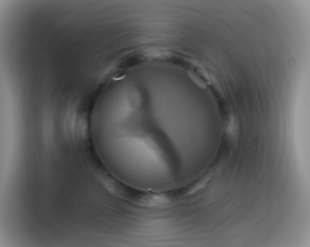 X0000114100715200910051445