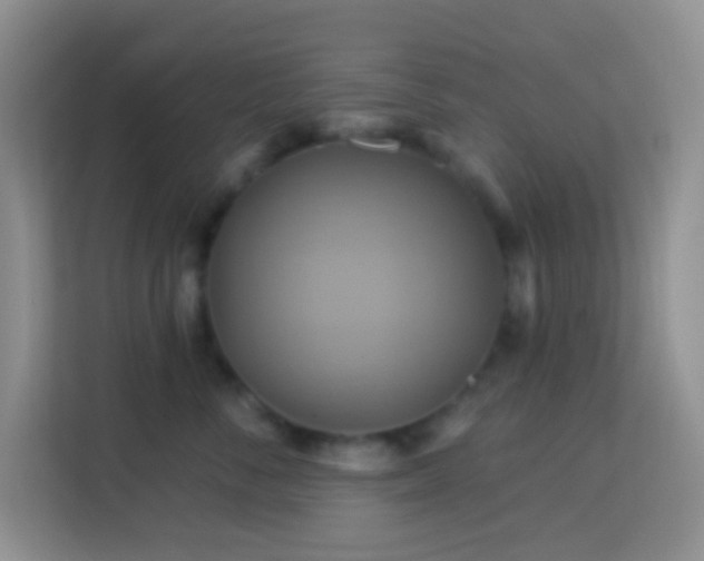 X0000114100716200910051445