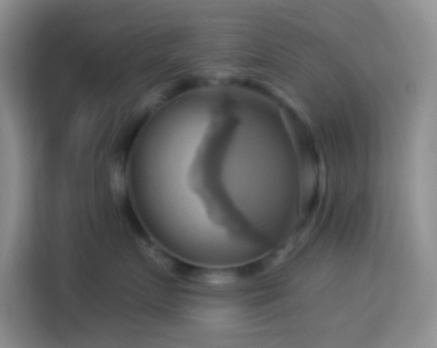 X0000114100719200910051445