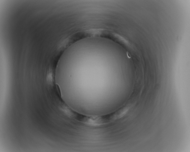 X0000114100720200910051445