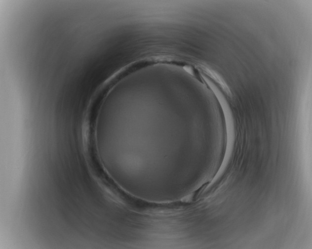 X0000114100722200910051444