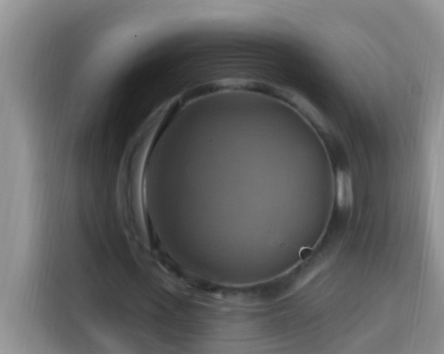 X0000114100723200910051444