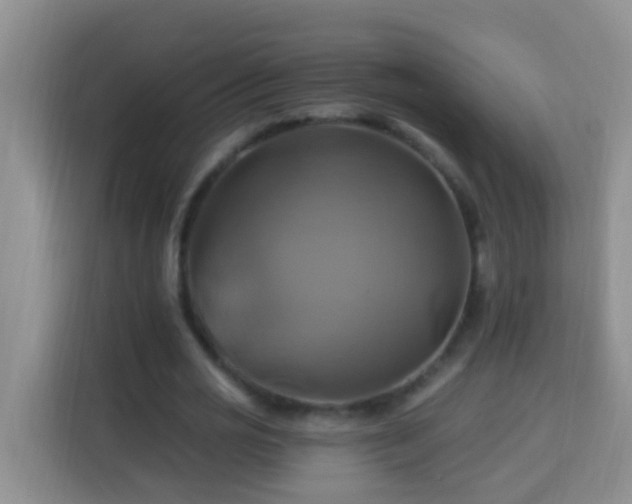 X0000114100725200910051444