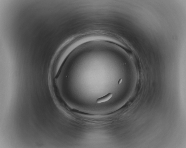 X0000114100726200910051444