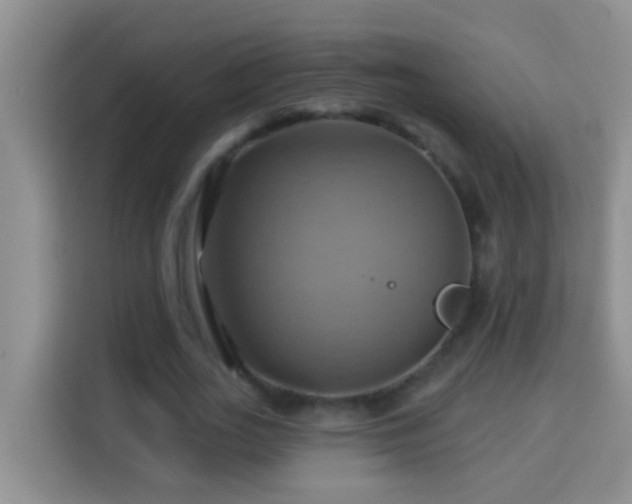 X0000114100727200910051444