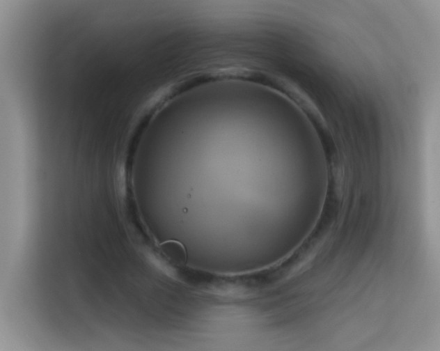 X0000114100729200910051444