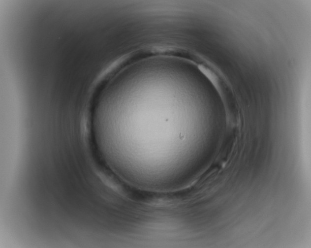 X0000114100732200910051444