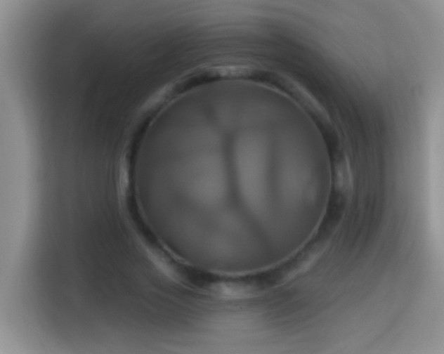 X0000114100733200910051444