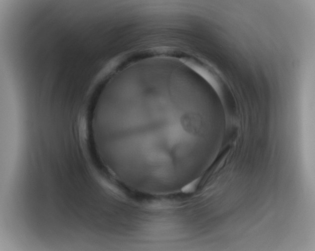 X0000114100734200910051444