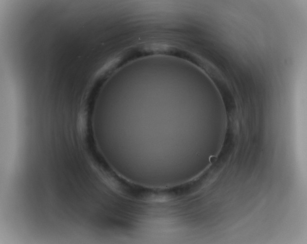 X0000114100735200910051444