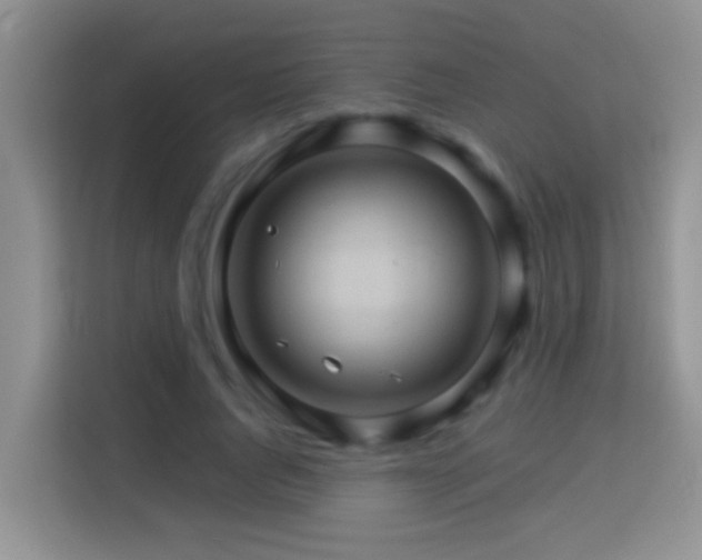 X0000114100736200910051444