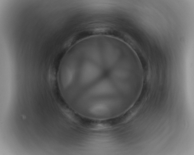 X0000114100737200910051444