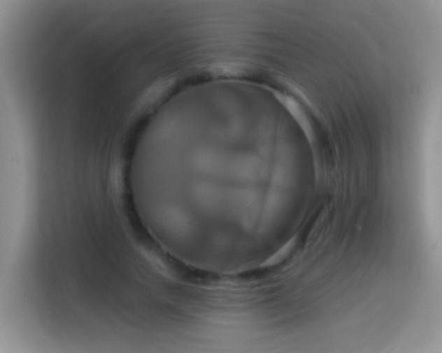 X0000114100738200910051444