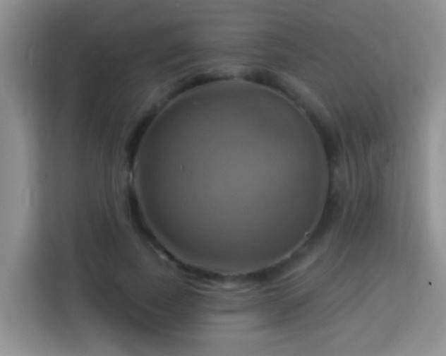 X0000114100739200910051444