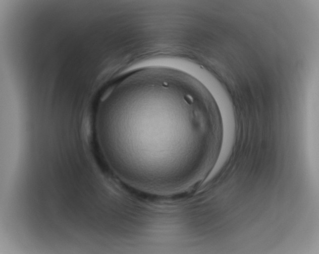 X0000114100740200910051444