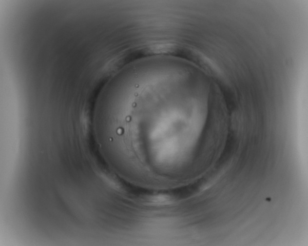 X0000114100741200910051445