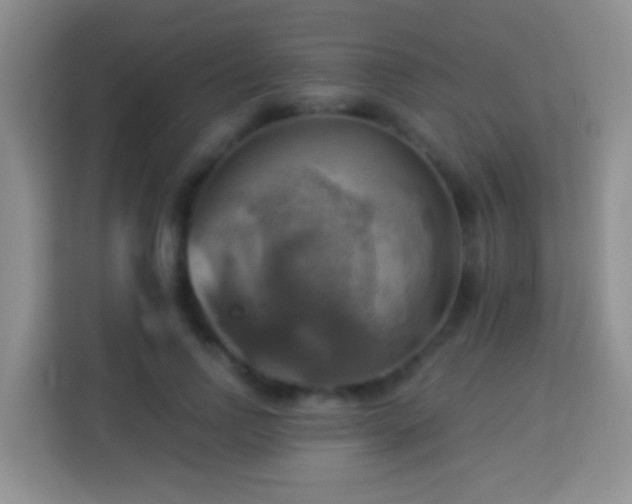 X0000114100742200910051445