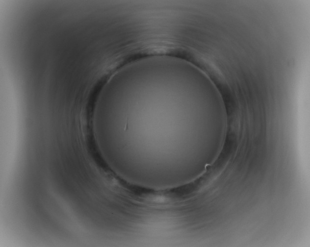 X0000114100743200910051445