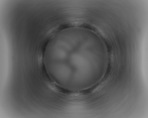 X0000114100745200910051445