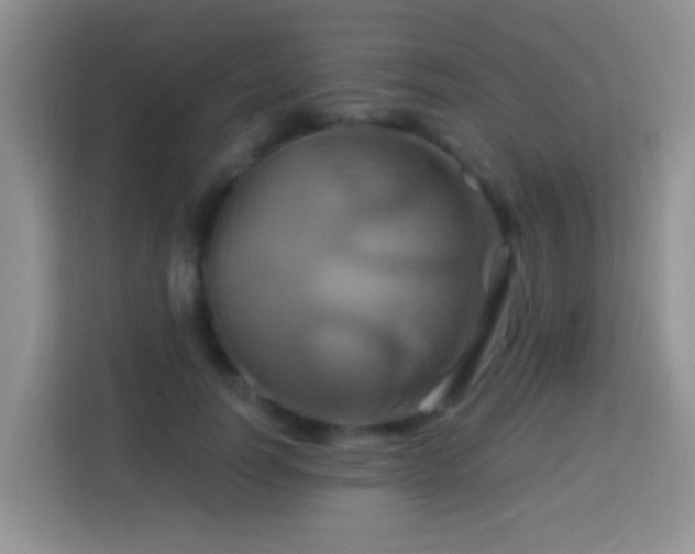 X0000114100746200910051445