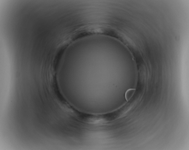 X0000114100747200910051445