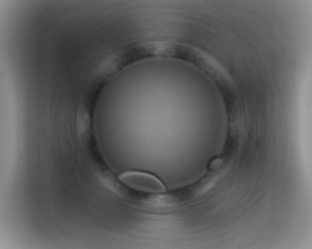 X0000114100748200910051445