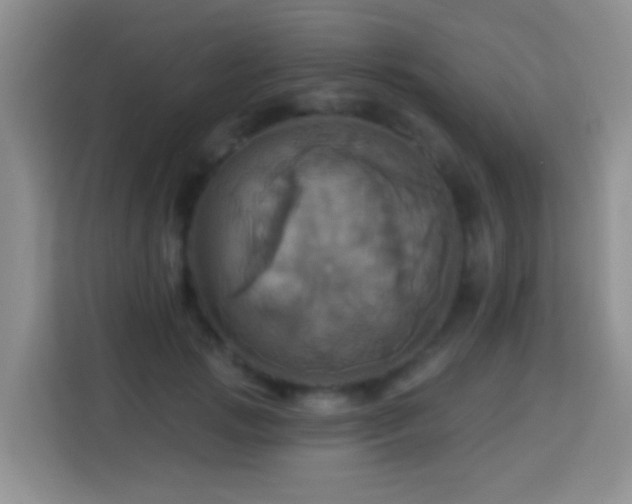 X0000114100749200910051445