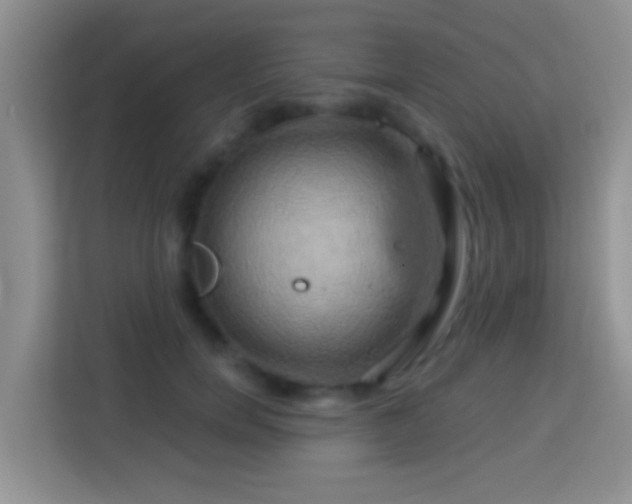 X0000114100750200910051445