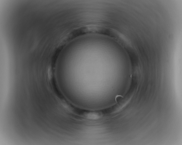 X0000114100751200910051445