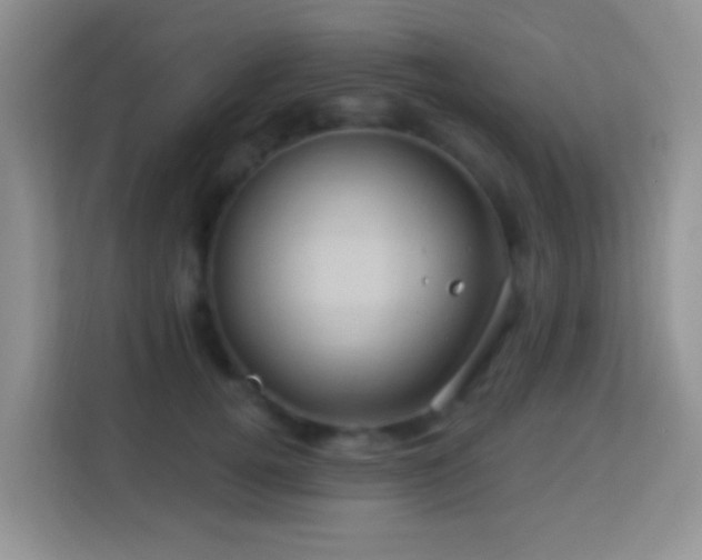 X0000114100752200910051445