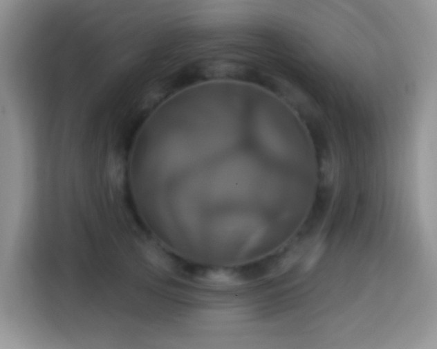 X0000114100753200910051445