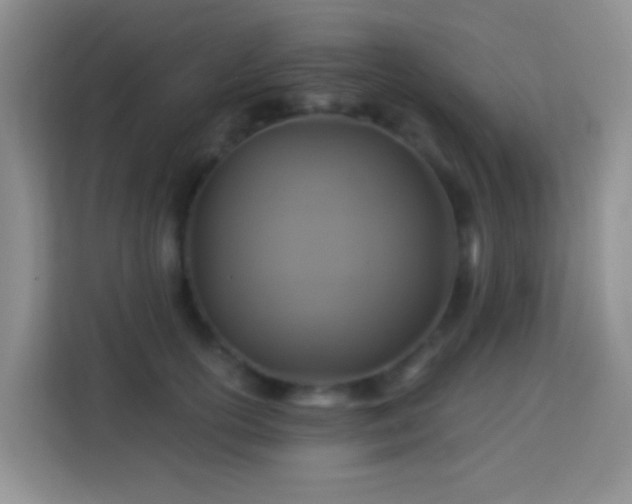 X0000114100754200910051445