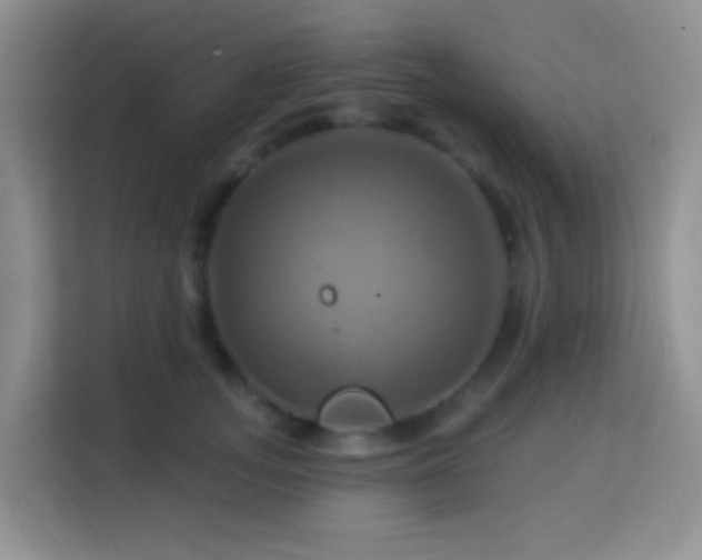 X0000114100755200910051445