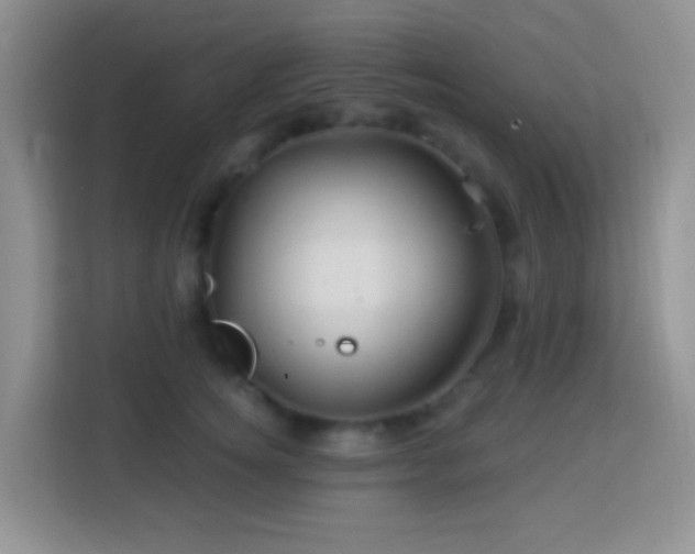 X0000114100756200910051445