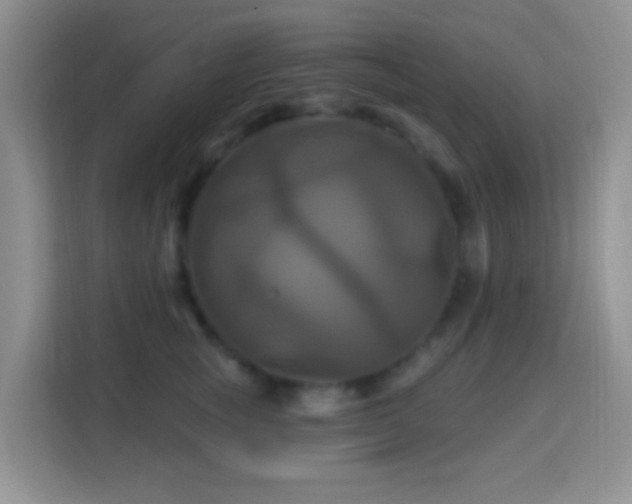 X0000114100757200910051445