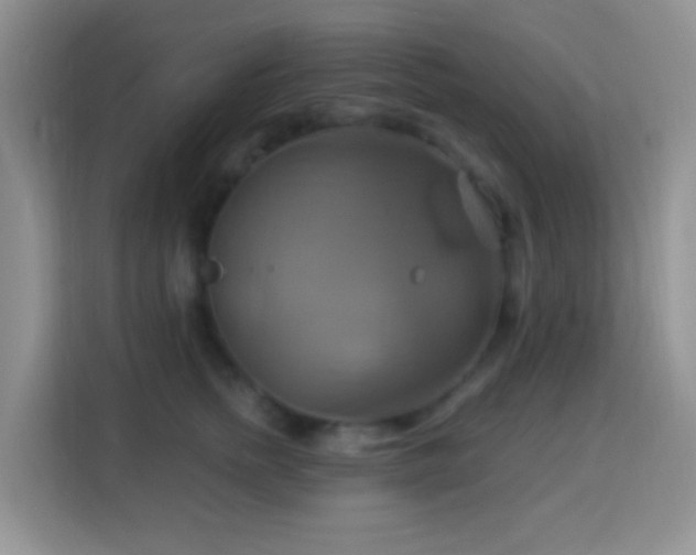 X0000114100758200910051445