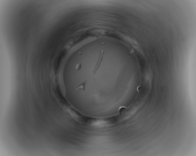 X0000114100759200910051445