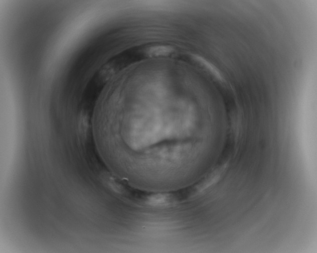 X0000114100761200910051445