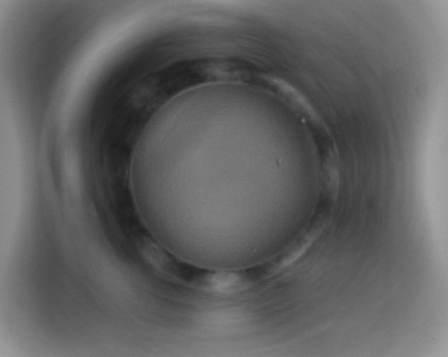 X0000114100762200910051445