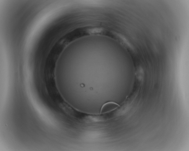 X0000114100763200910051445