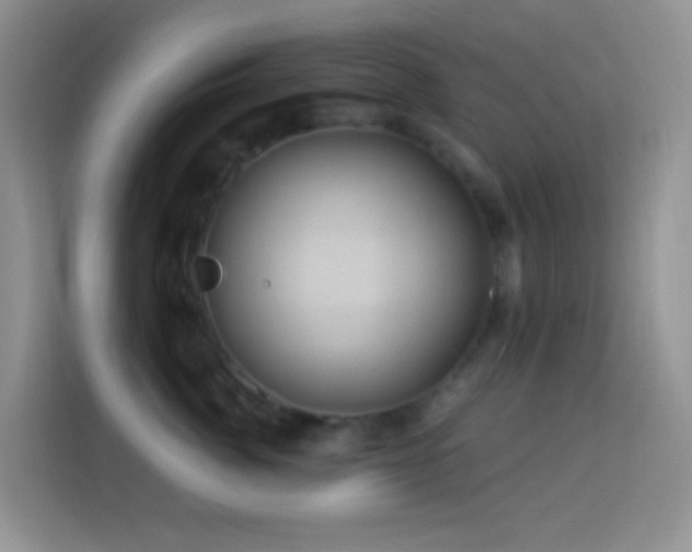 X0000114100764200910051445