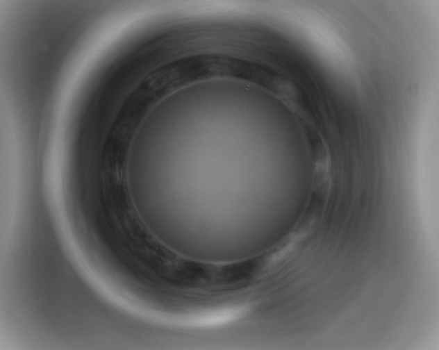 X0000114100765200910051445