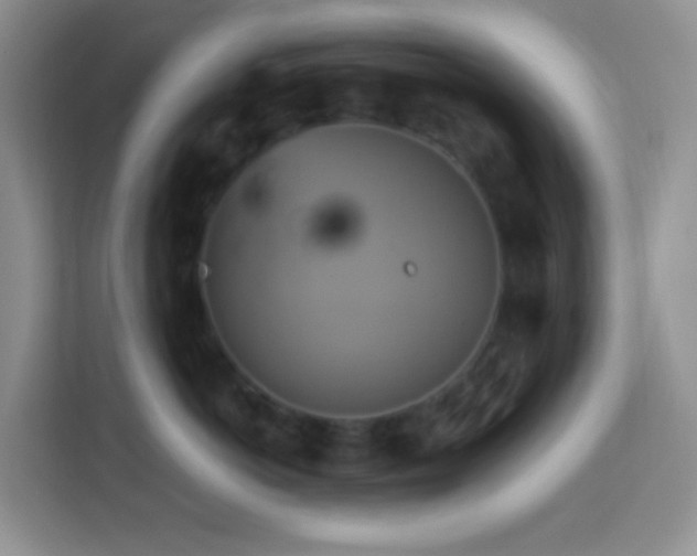 X0000114100766200910051445