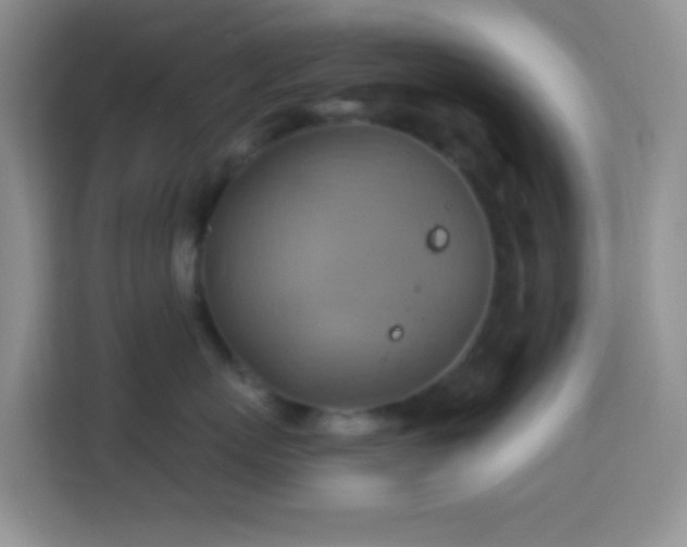 X0000114100767200910051445