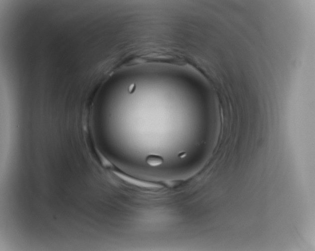 X0000114100768200910051445