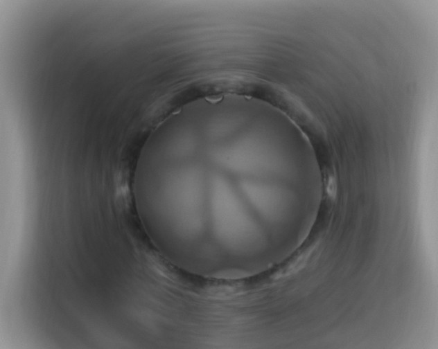 X0000114100771200910051444