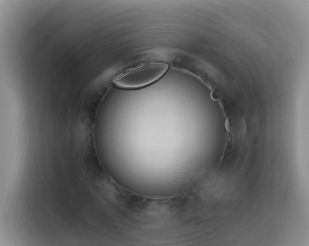 X0000114100773200910051444