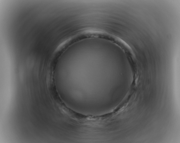 X0000114100775200910051444