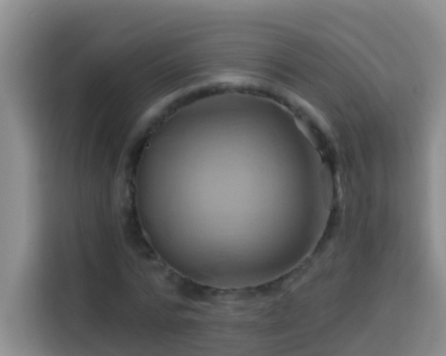 X0000114100776200910051444