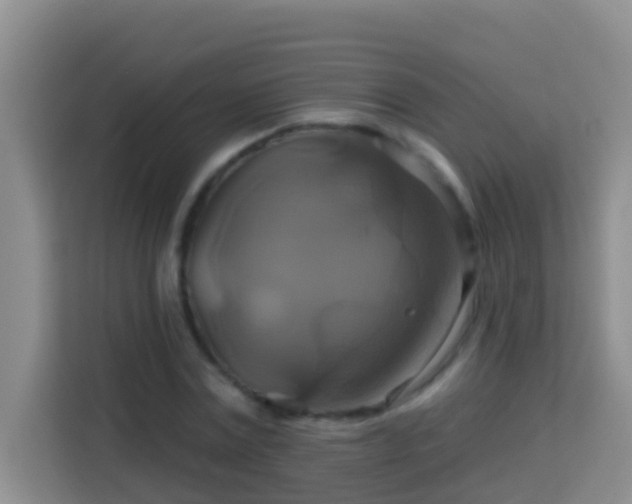 X0000114100779200910051444